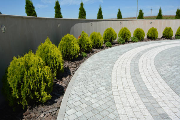 Best Brick Driveway Pavers  in Palm Desert, CA